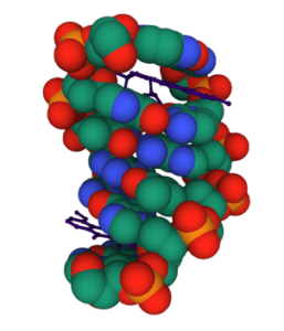 Figure 2: Chemotherapy Drug in DNA