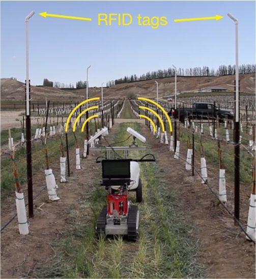 Figure 4: The RFID tags are mounted above the grape trellis on white poles. Three pairs of tags can be seen.