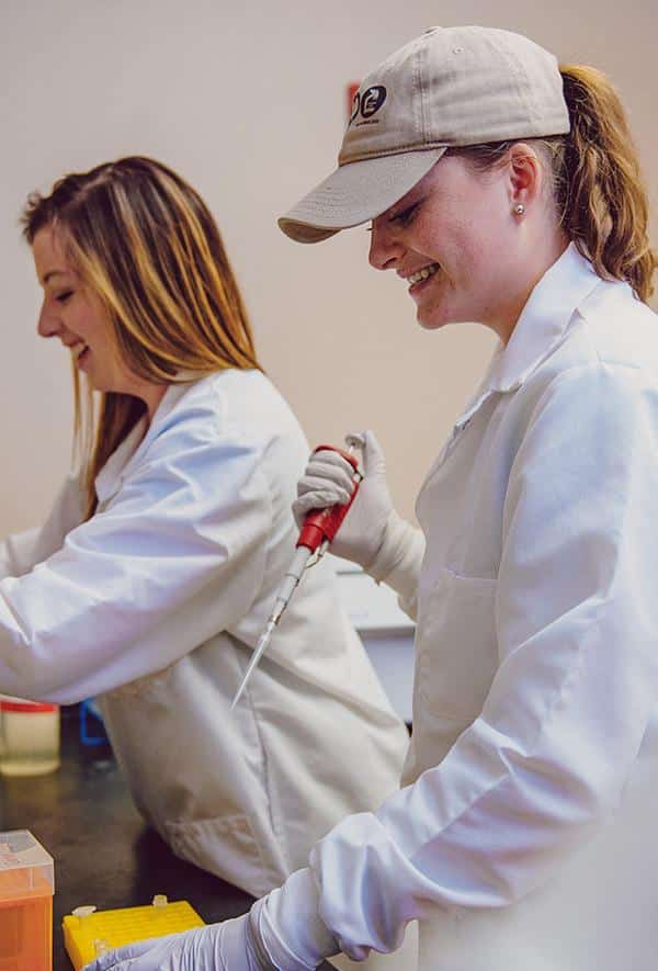 lab-portrait
