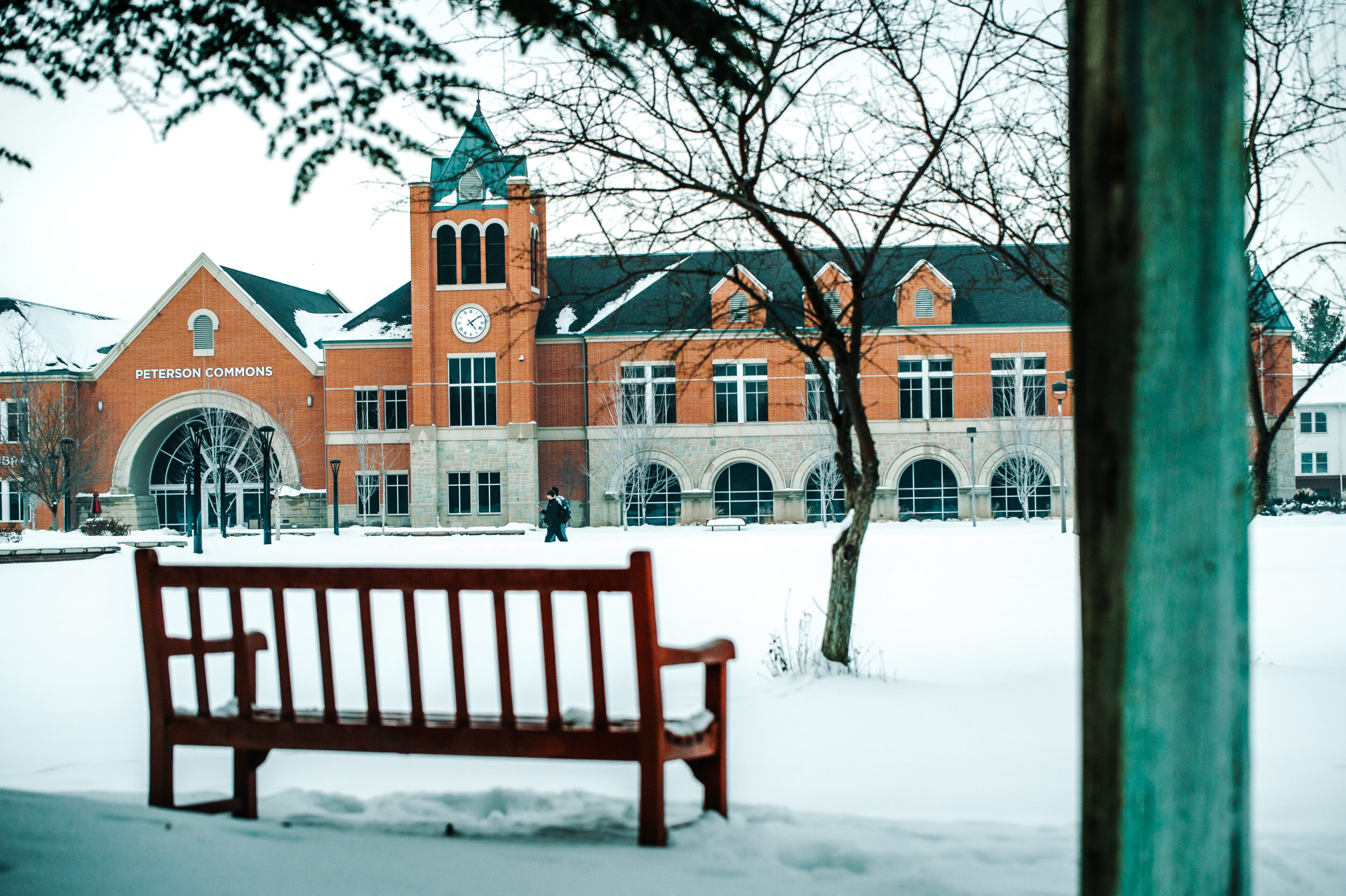 Leah Peterson Learning Commons in the snow